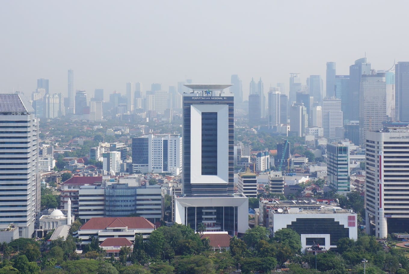 Membangun Generasi Emas: Peran Vital Perpustakaan Indonesia di Era Digital